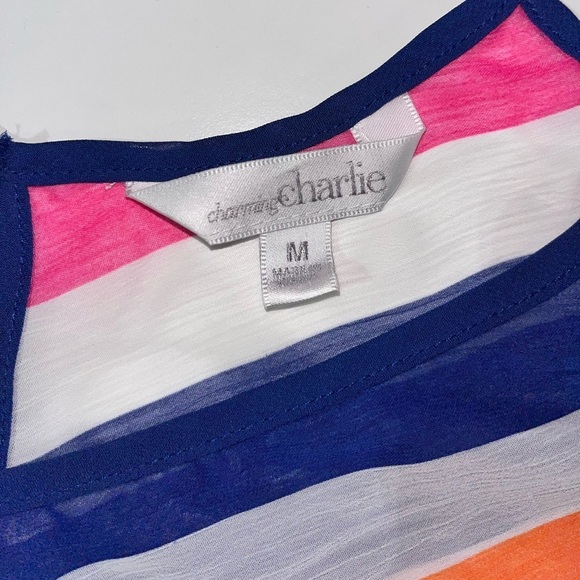 Charming Charlie Fruit Stripe Chiffon Camisole Y2K Tank Tops Vintage Versona - Picture 3 of 6